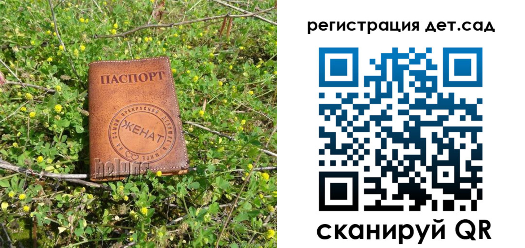 временная регистрация надежно в Волхове